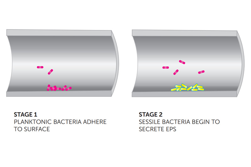 Chiller And Closed-circuit Bacteria And Biofilm Considerations - The Effect, Cost And Consequences