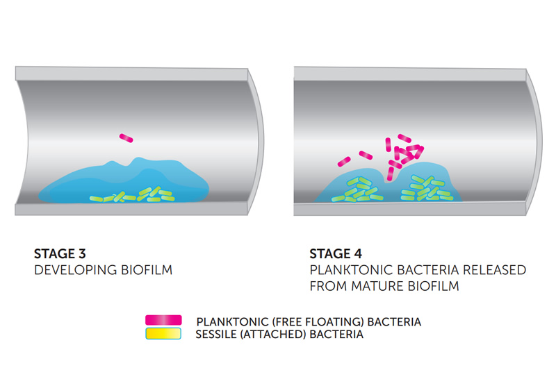 Chiller And Closed-circuit Bacteria And Biofilm Considerations - The Effect, Cost And Consequences