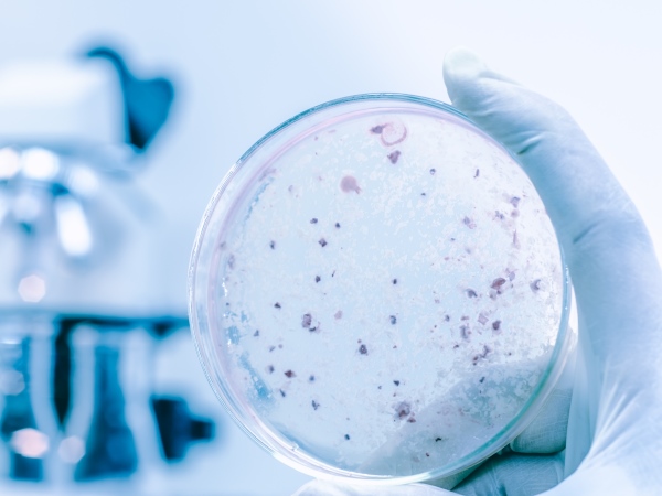 Confirmed case of Legionnaires disease after investigation launched at Isle of Wight Hotel and Spa Confirmed case of Legionnaires disease after investigation launched at Isle of Wight Hotel and Spa