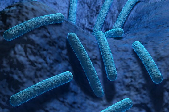Legionella In Care Homes Still Poses A Public Health Risk