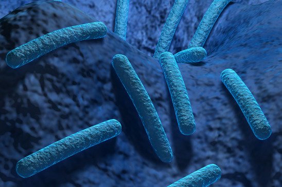 Legionella Traces Found at Penrith Leisure Centre