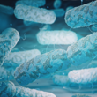 Legionella Risk Assessment