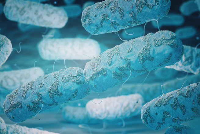 Global Warming Could Fuel Legionnaires’ Disease Cases Global Warming Could Fuel Legionnaires’ Disease Cases